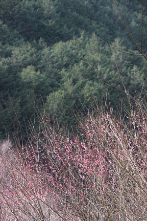 e0347592_15513102.jpg