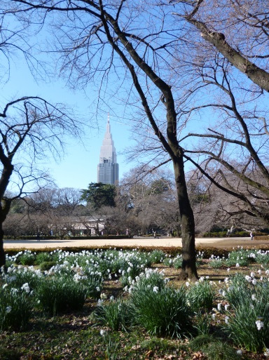 東京ツアー_f0330592_16074873.jpg