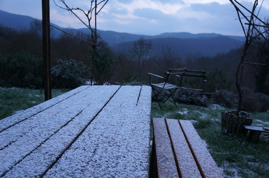 初雪_f0106597_3264561.jpg