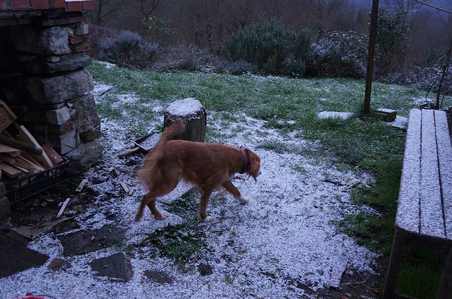 初雪_f0106597_3405268.jpg