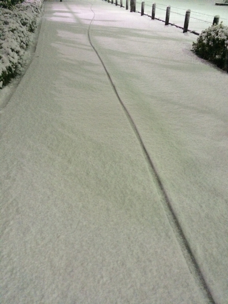 b0151300_738101.jpg