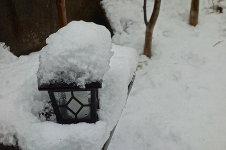 雪が積もった_b0099903_1153671.jpg