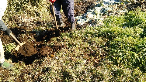 e0270403_1410689.jpg