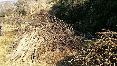 e0270403_14182648.jpg
