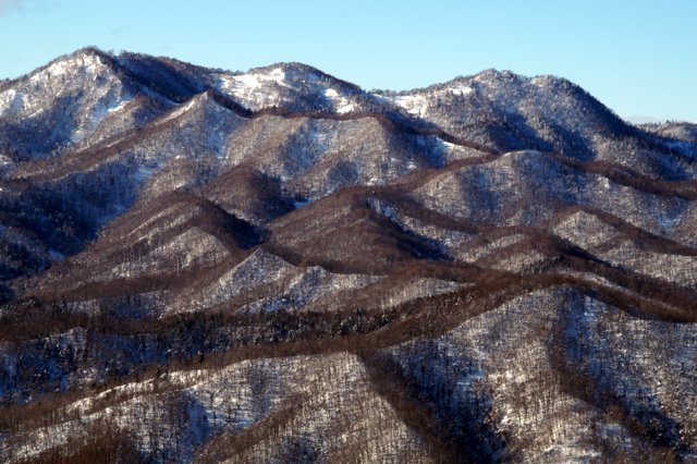 a0345007_102542.jpg