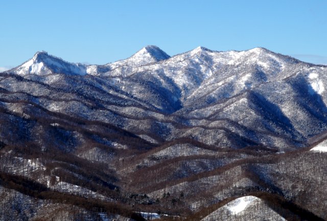 a0345007_1031267.jpg