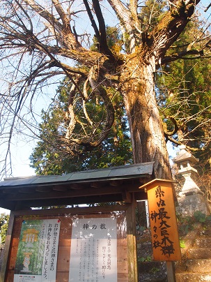  二所山田神社と巨木群_a0240108_21583859.jpg