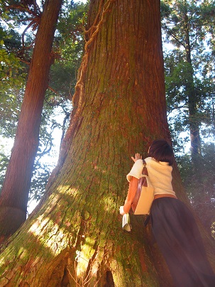  二所山田神社と巨木群_a0240108_2211430.jpg