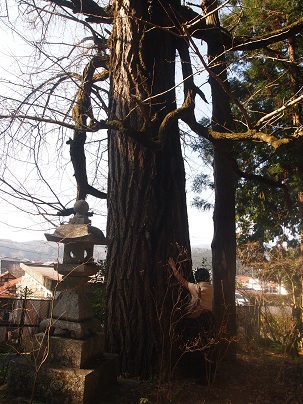  二所山田神社と巨木群_a0240108_222358.jpg