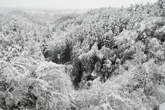b0237408_19545513.jpg