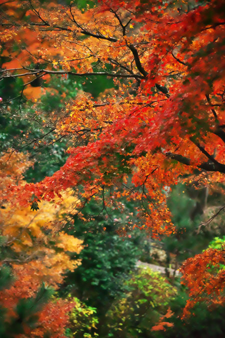 a0263109_12592521.jpg
