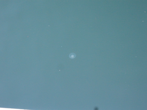 e0148909_22480649.jpg