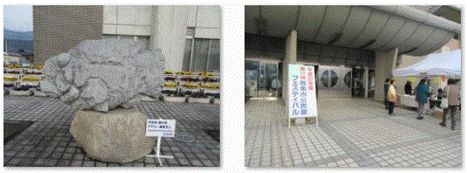 f0231709_1233121.gif