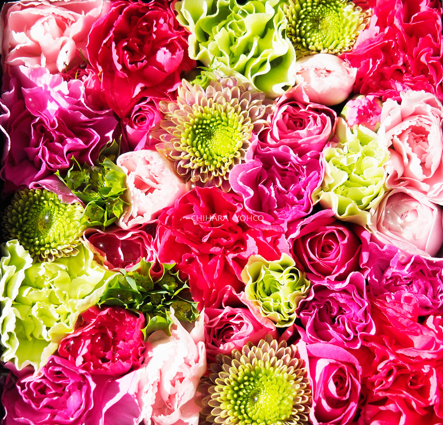 FLOWER BOX_d0138811_21124594.jpg