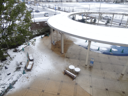b0017215_17513752.gif