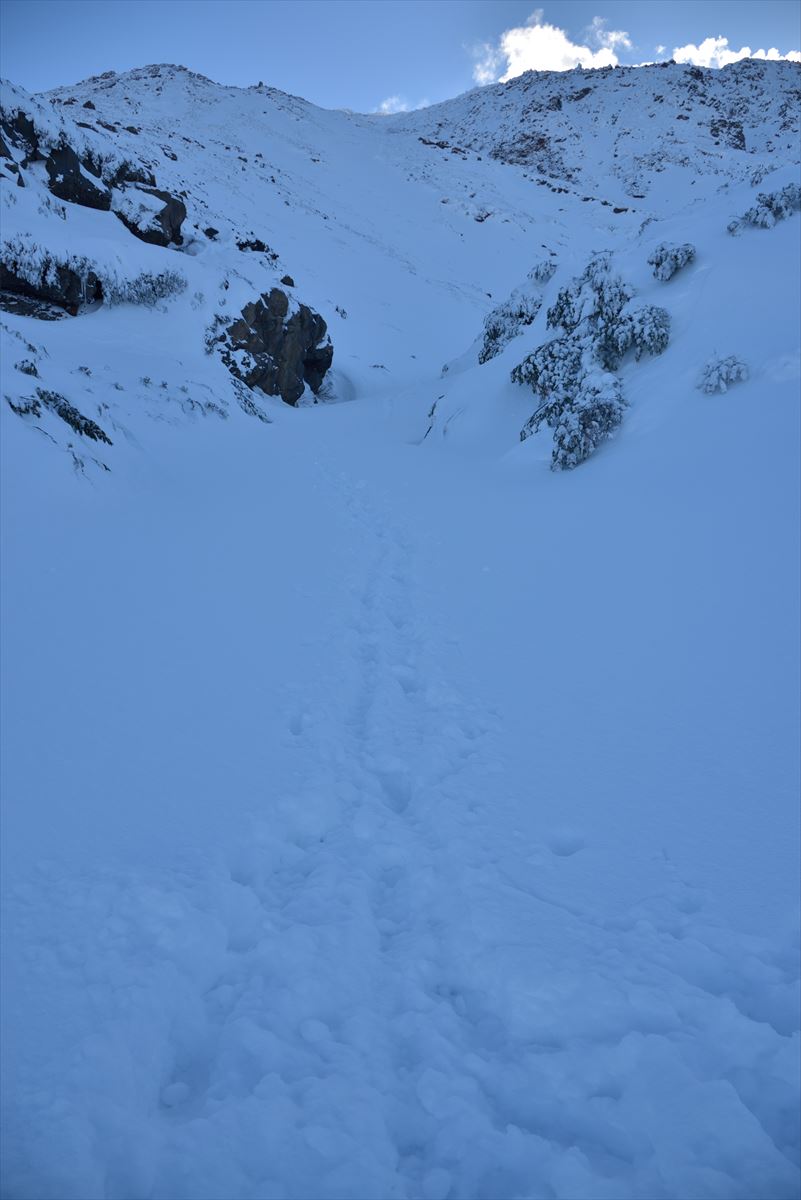 もくもくの雌阿寒岳　2016.1.17_a0145819_1259378.jpg