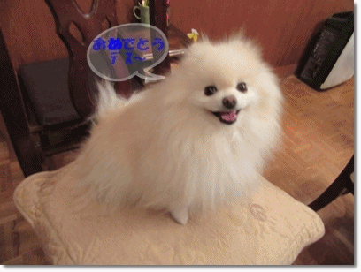 b0167519_2247483.gif