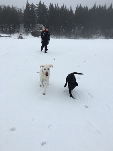 スキー旅行（２回目・・・②）スキーJAM勝山_c0114121_19553487.jpg