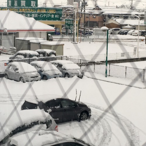 昨日の関東は大雪_c0366722_08333142.jpeg