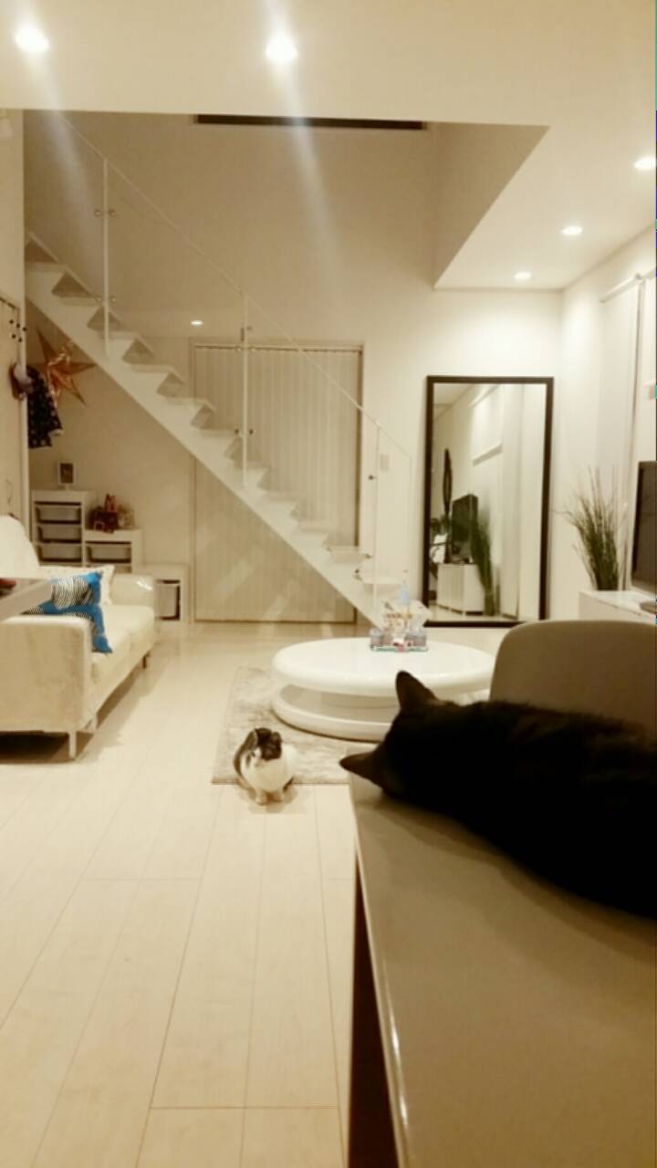 c0333823_08323567.jpg