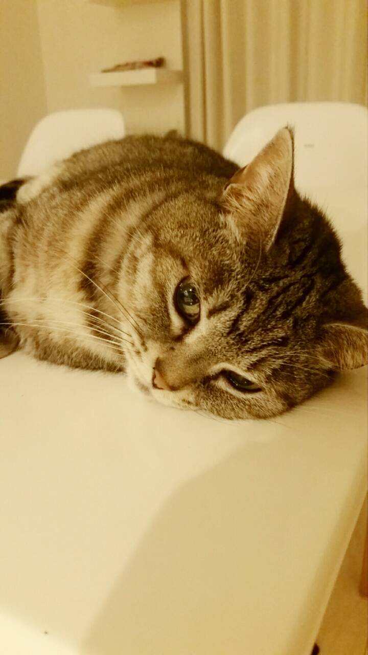 c0333823_08325879.jpg
