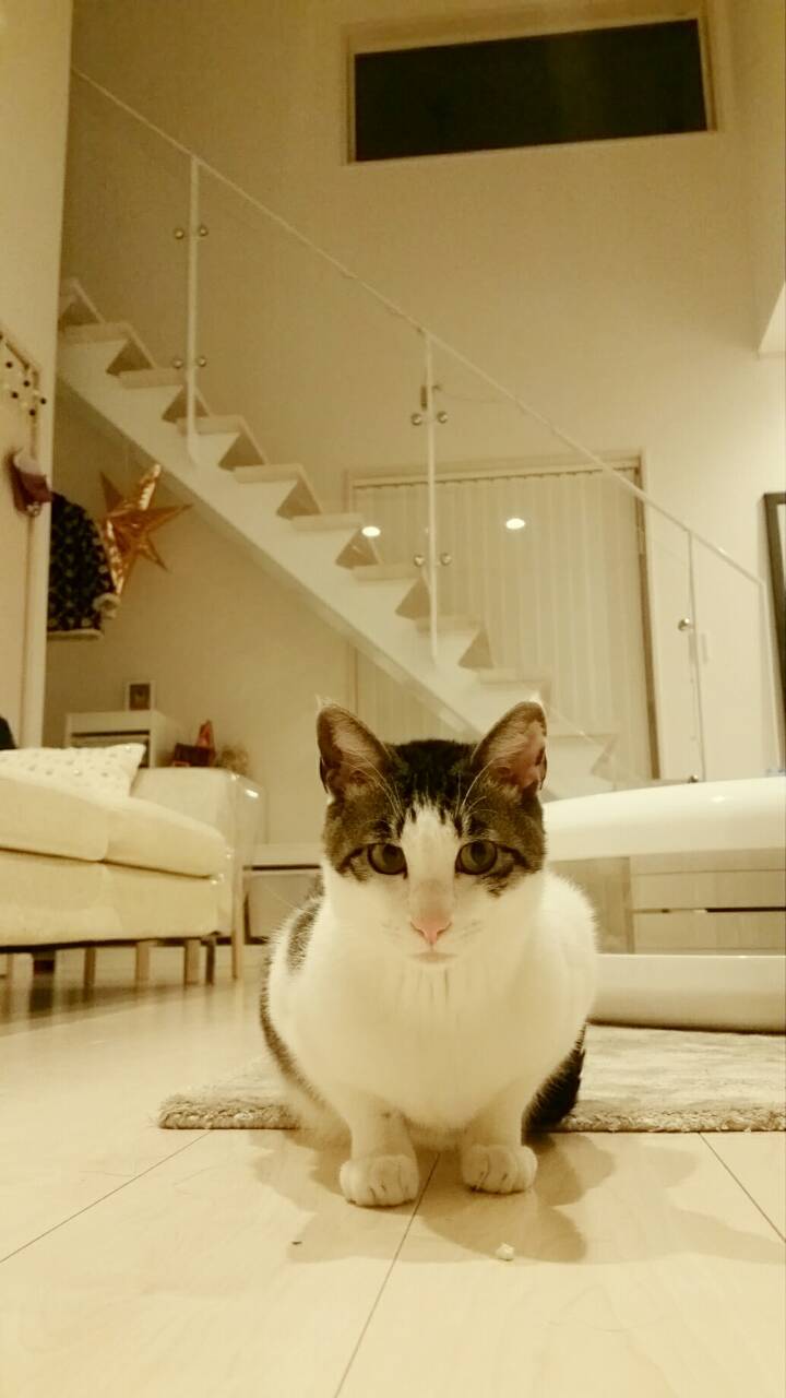 c0333823_08331815.jpg