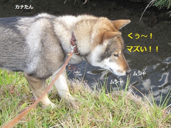 f0143123_18380382.jpg