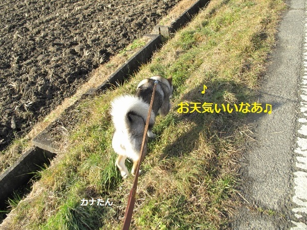 f0143123_18381016.jpg
