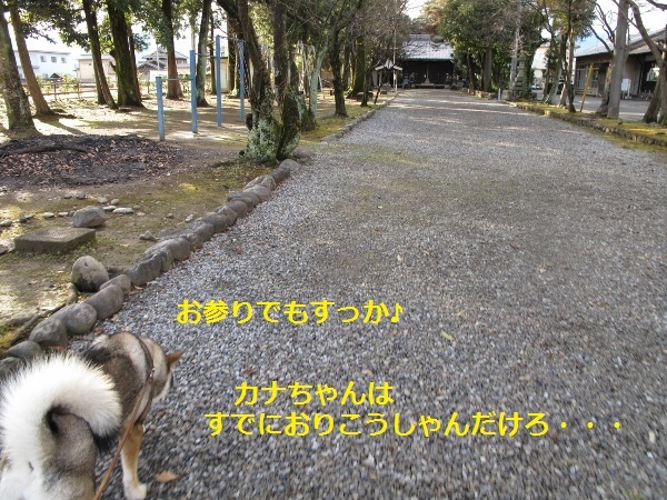 f0143123_18382252.jpg