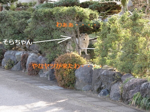 f0143123_18500262.jpg