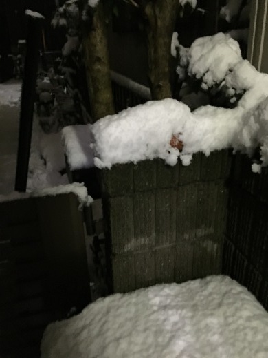 今年は雪うさぎさん(*^^*)_f0319325_18021679.jpeg