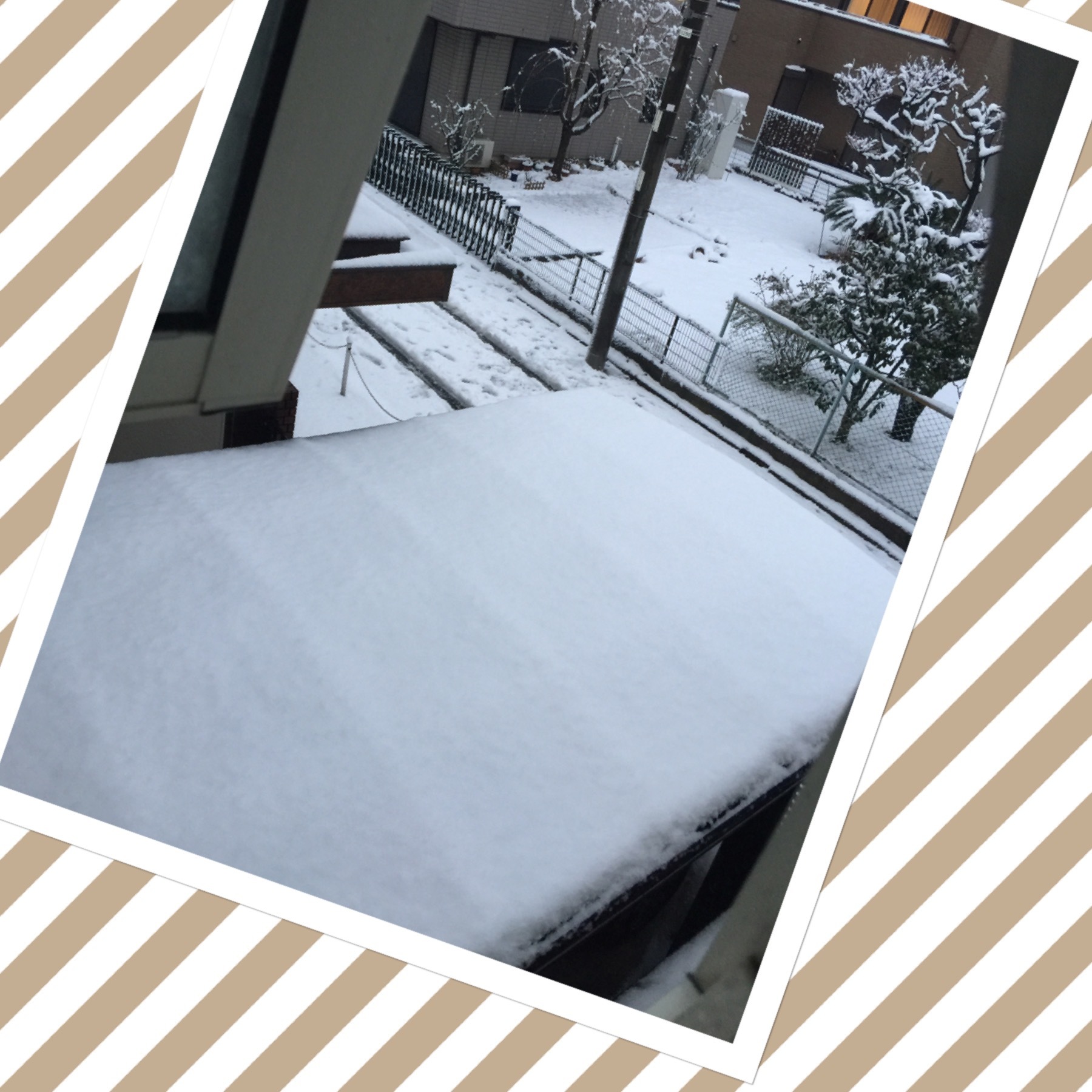 雪の日の自宅レッスン!! シャルニエの箱 book型の箱_f0305451_15512639.jpeg