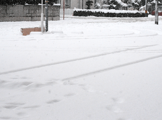 1月18日 雪が降りました。_a0001354_201516.gif