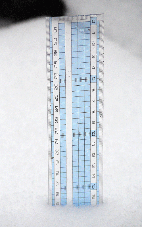 1月18日 雪が降りました。_a0001354_20191325.gif