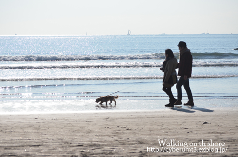 2016年１月18日(月）海岸のお散歩_f0073254_123742.jpg