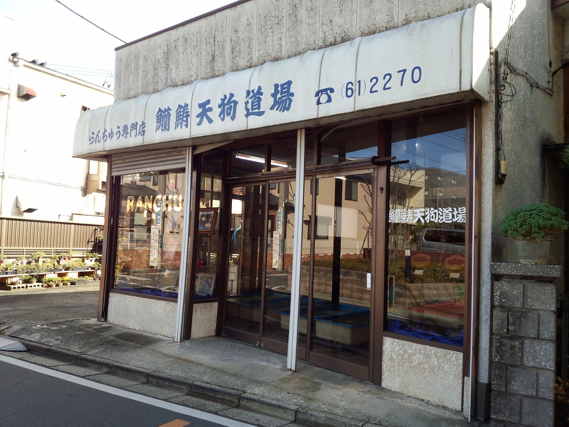 d0061857_20542.jpg