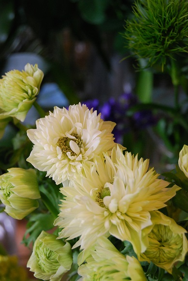お花と音楽_a0201358_1610877.jpg