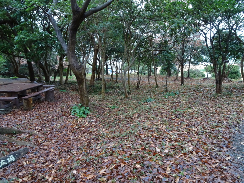 c0108460_16561812.jpg