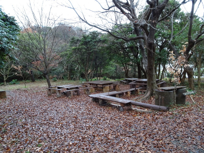 c0108460_16562179.jpg