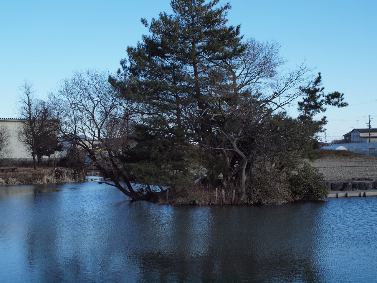 『夕べが池自然公園を歩いて・・・・・』_d0054276_20114582.jpg