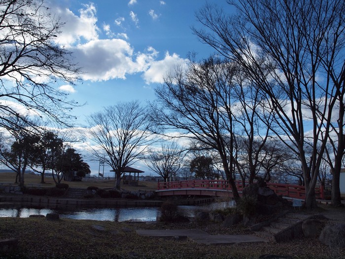 『夕べが池自然公園を歩いて・・・・・』_d0054276_201223100.jpg