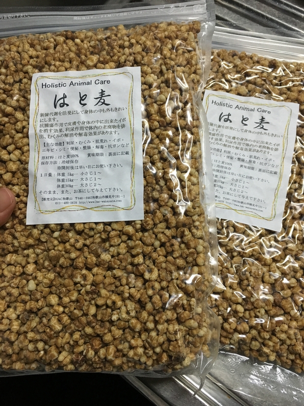 c0283778_1491859.jpg