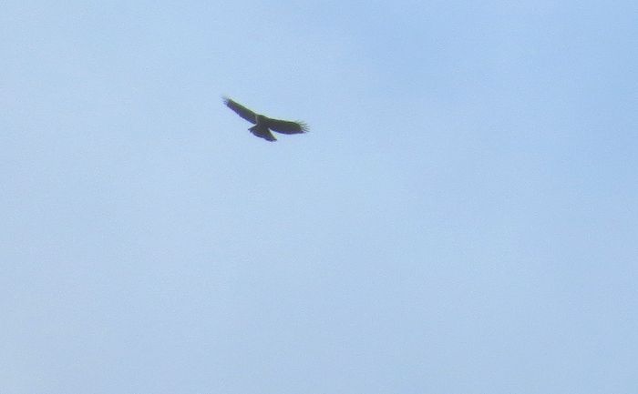 d0020180_144851.jpg