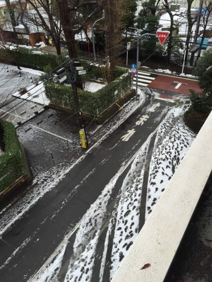 関東で大雪……？_e0352281_14005953.jpg