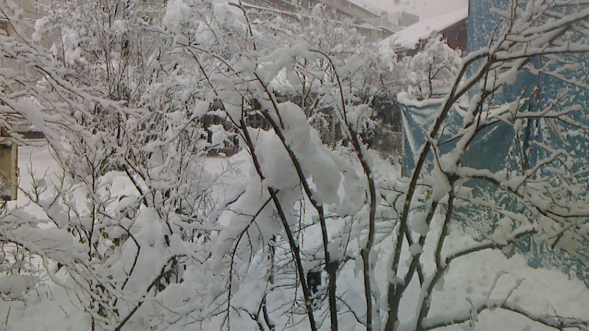 f0131183_1247371.jpg