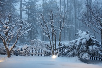 大雪予報、みごとに的中_d0133485_1217283.jpg