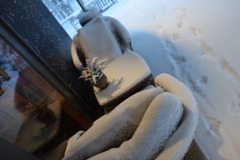 大雪予報、みごとに的中_d0133485_12195923.jpg