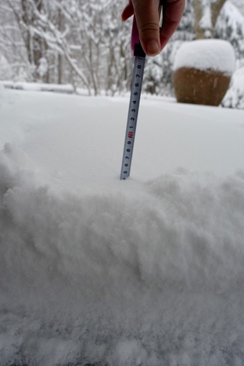 大雪予報、みごとに的中_d0133485_1221276.jpg