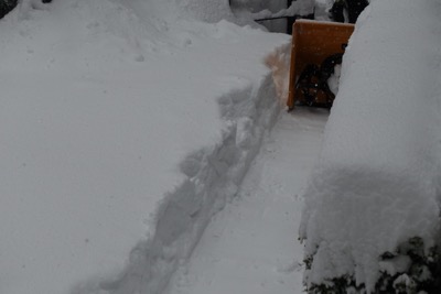 大雪予報、みごとに的中_d0133485_12235836.jpg