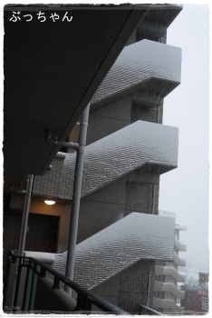 雪の朝_f0353990_19264064.jpg